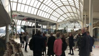 Rotterzwam in Bluecity 010 te Rotterdam.