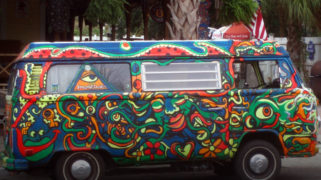 Hippiebus